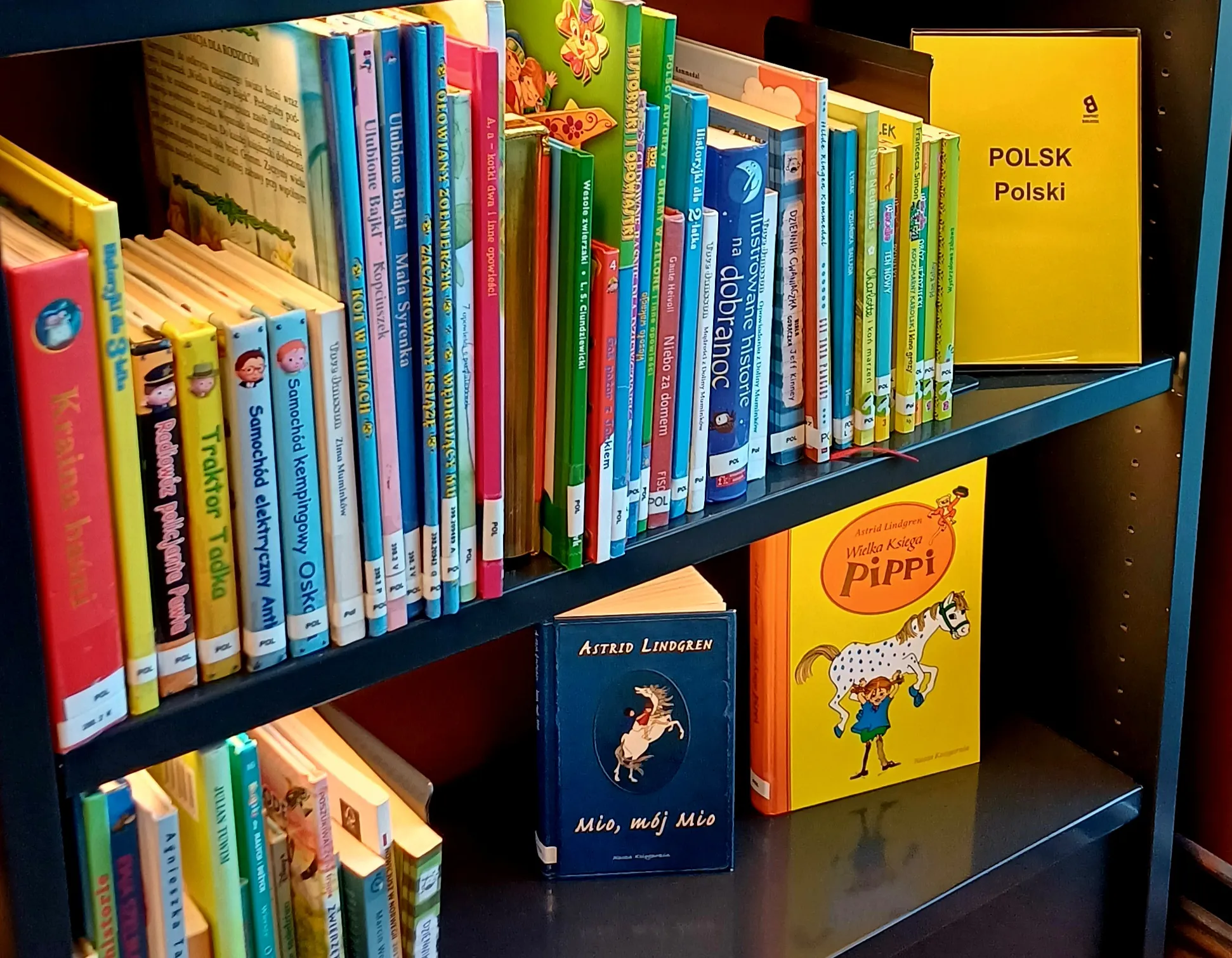 Knygos lenkų kalba Norvegijos bibliotekoje: daugiakalbė biblioteka, prieinama visiems