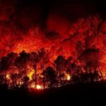 Informacje z Norwegii 29.05