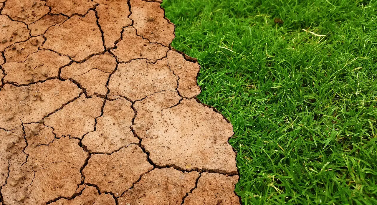 Trwa szczyt klimatyczny w Glasgow (COP26)