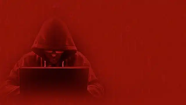 Nordycka ofensywa przeciw oszustwom internetowym: Policja i Økokrim łączą siły w walce z cyberprzestępczością
