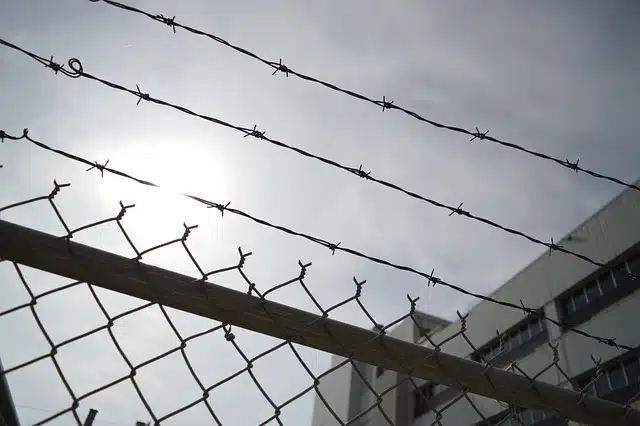Dwa lata więzienia za oszustwa podatkowe warte miliony – sąd ogłosił wyrok