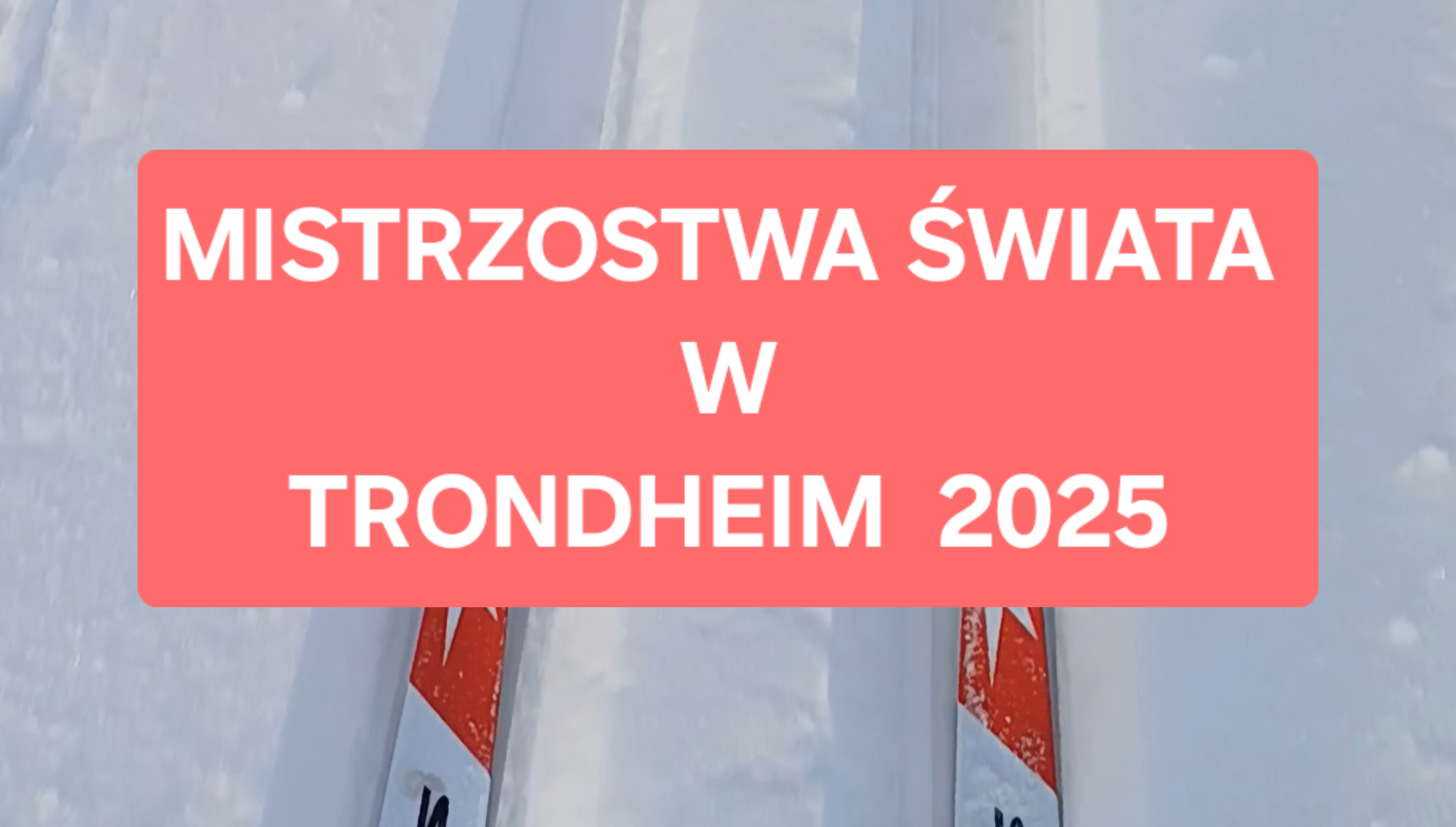 200 000 biletów na Mistrzostwa Świata sprzedane! – Pełne trybuny na najważniejsze dni mistrzostw