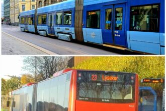 Kto ma pierwszeństwo – ty czy autobus i tramwaj? Błąd może cię sporo kosztować!