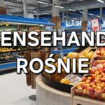 2,5 mld koron w zaledwie trzy miesiące: Grensehandel rośnie mimo droższej Szwecji