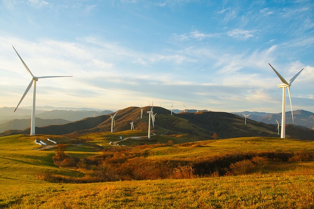 Norweskie firmy przejmują kontrolę nad energetyką odnawialną - Zagranica traci wpływy