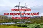 Jak będzie wyglądała „Norgespris” na rachunku za prąd? - poznaj zasady
