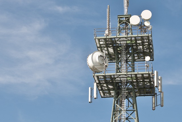 Gdy zgaśnie ekran: Jak przetrwać tydzień bez internetu i telefonu – uczymy się “ekom-preppingu”