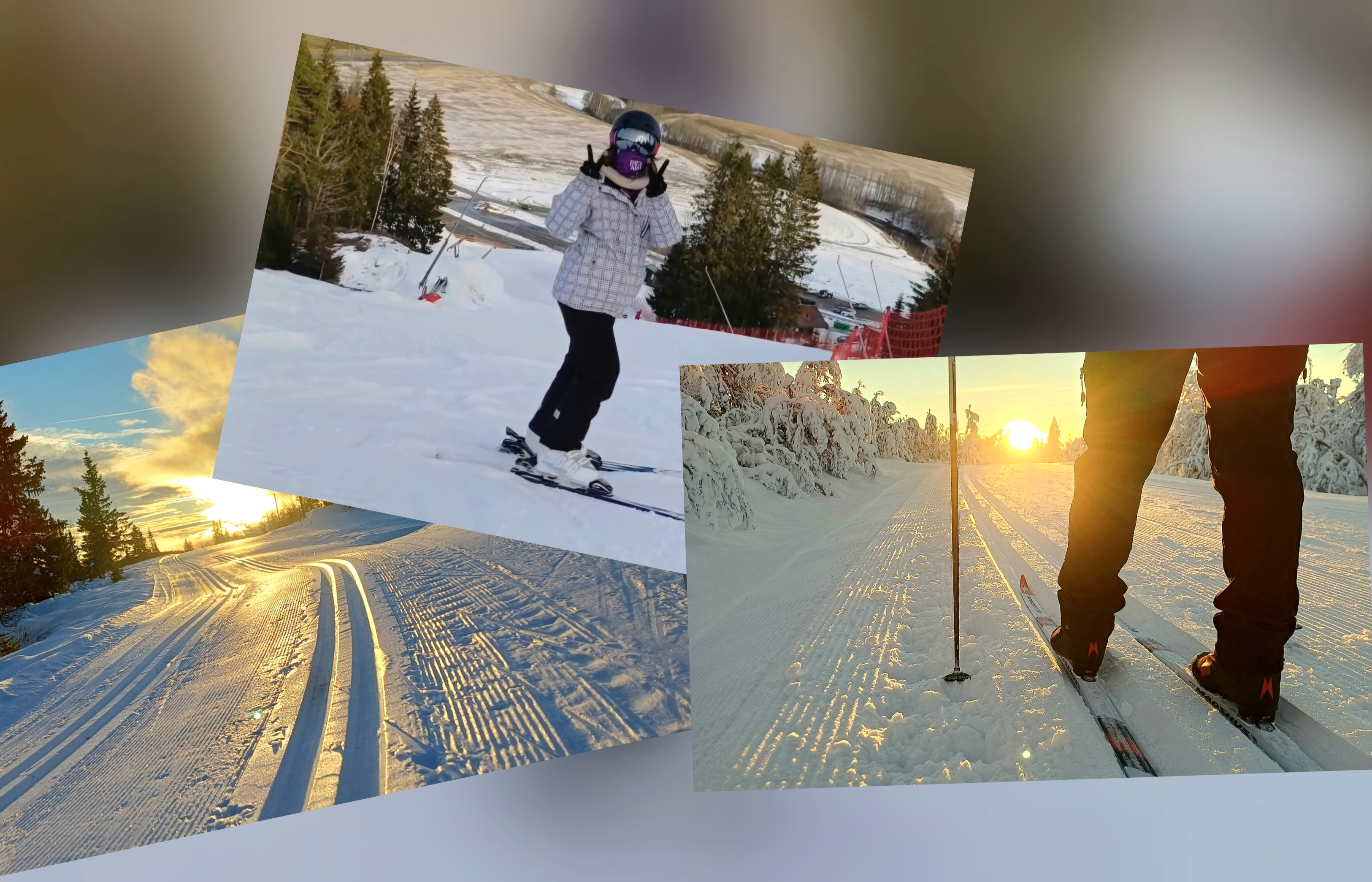 Norwegia bez śniegu! Trudny sezon dla branży i dla narciarzy – uderzenie w styl życia 