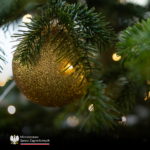 Świąteczne i noworoczne życzenia od Ambasady RP w Oslo dla czytelników Wataha.no