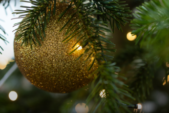 Świąteczne i noworoczne życzenia od Ambasady RP w Oslo dla czytelników Wataha.no