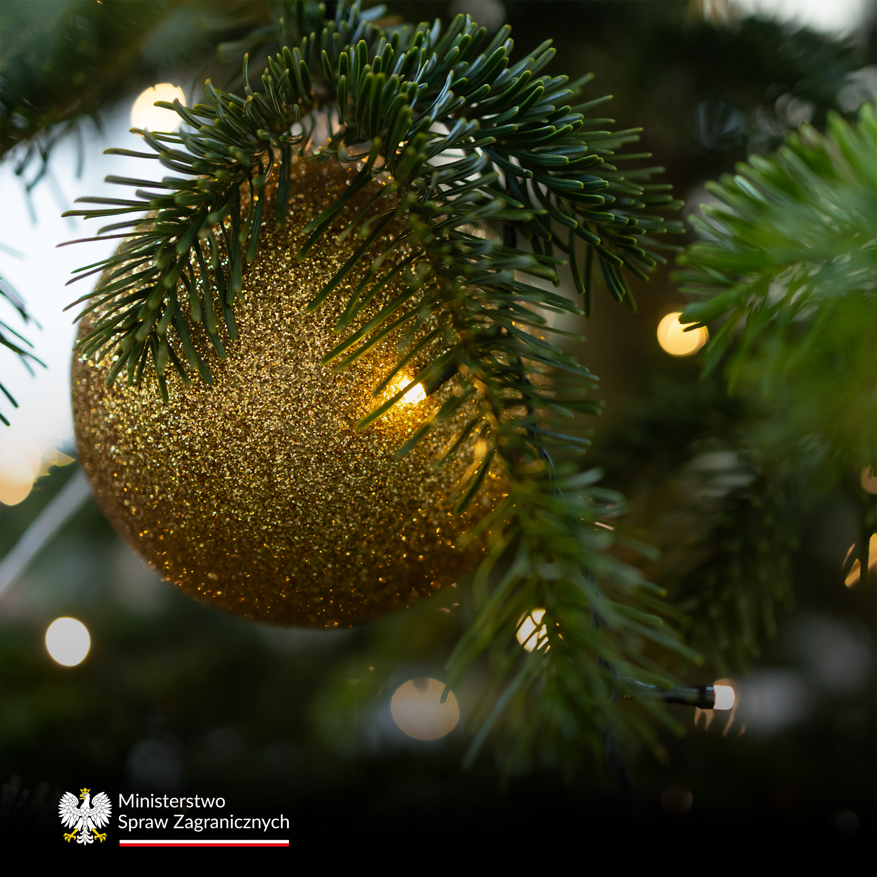 Świąteczne i noworoczne życzenia od Ambasady RP w Oslo dla czytelników Wataha.no