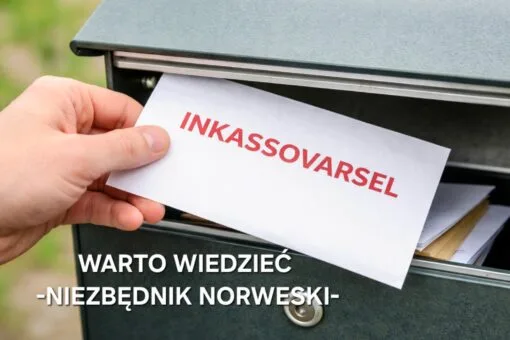Wezwanie do zapłaty z Norwegii? Sprawdź, jakie masz prawa i jak się bronić - Inkasso krok po kroku