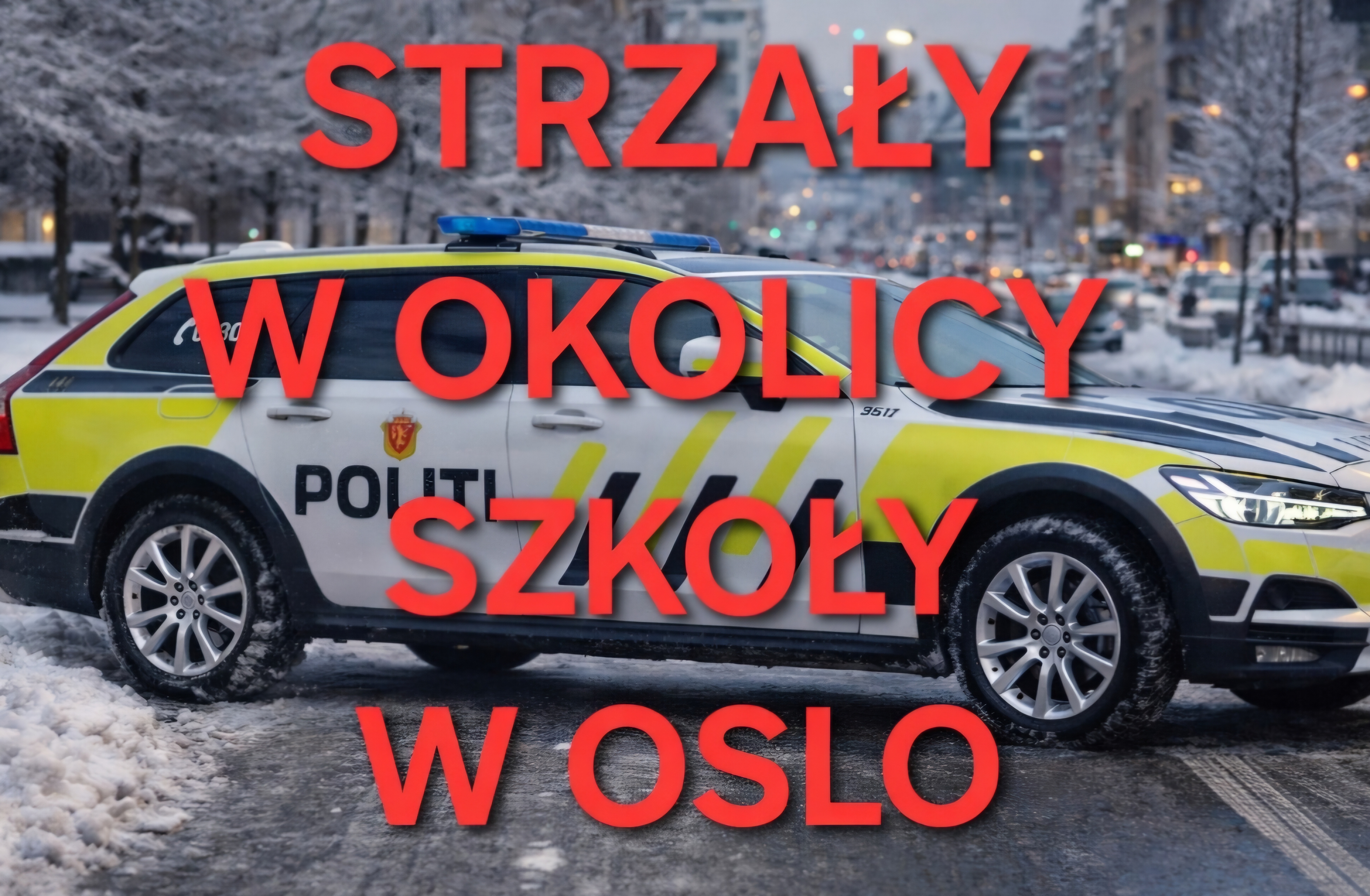Strzały koło szkoły Kuben. Setki funkcjonariuszy i brak informacji o rannych – policja szuka podejrzanego