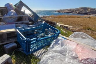 Nowe dane z Oslofjordu: Spadek jednorazowego plastiku na norweskich plażach. Czy regulacje naprawdę działają?