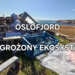 Sieci widma i wraki znikną z fiordu Oslo: 64 projekty ruszają do akcji