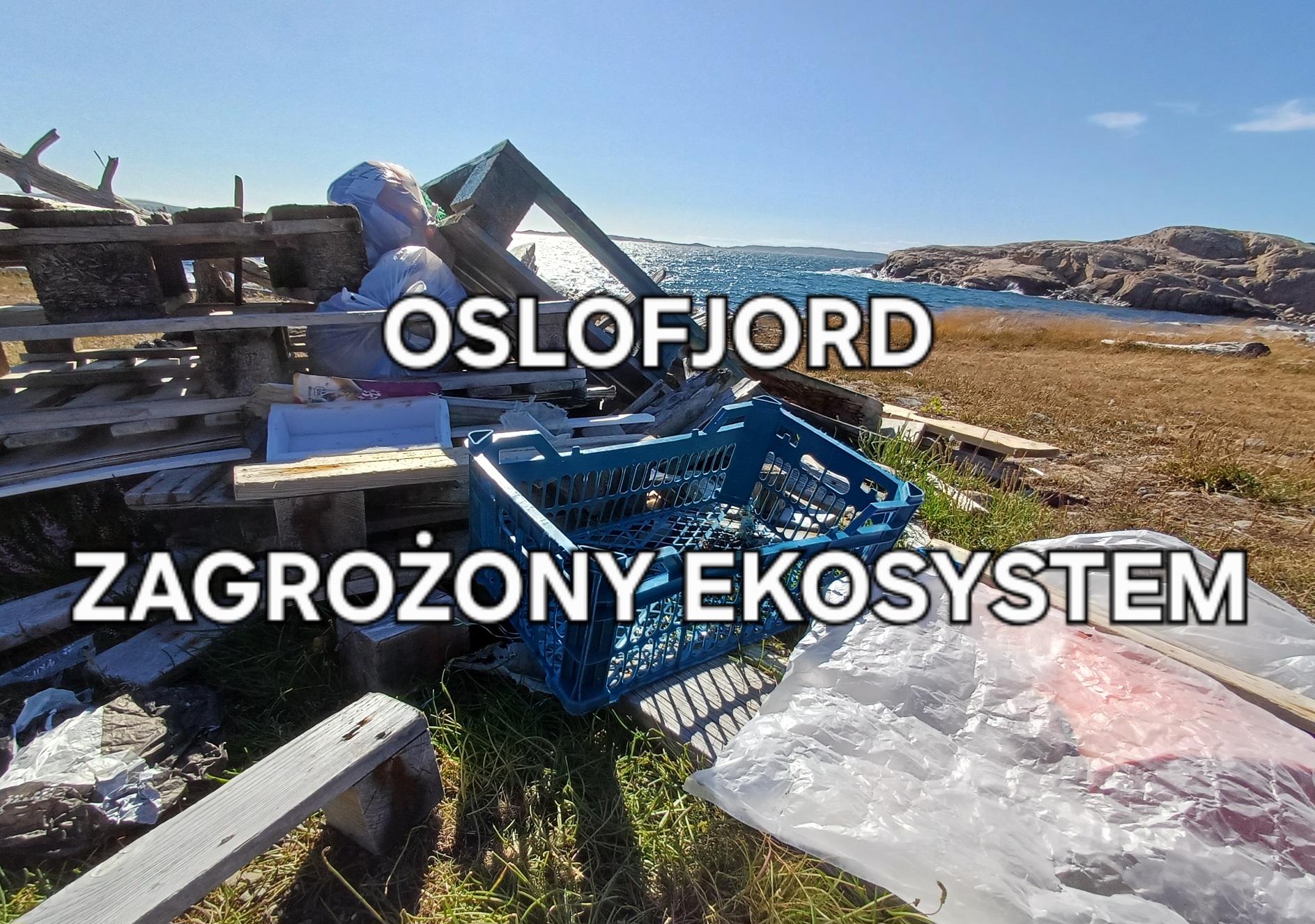 Sieci widma i wraki znikną z fiordu Oslo: 64 projekty ruszają do akcji