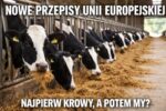 Bruksela wprowadza nowe zasady dotyczace zmiany czasu. UE zaczyna od krów - szykuje się rewolucja dla wszystkich!