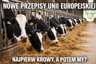 Bruksela wprowadza nowe zasady dotyczace zmiany czasu. UE zaczyna od krów - szykuje się rewolucja dla wszystkich!
