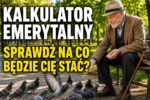 Ile wyniesie Twoja emerytura w Norwegii? Kalkulator - możesz sprawdzić swoją emeryturę online