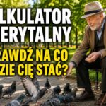 Ile wyniesie Twoja emerytura w Norwegii? Kalkulator - możesz sprawdzić swoją emeryturę online