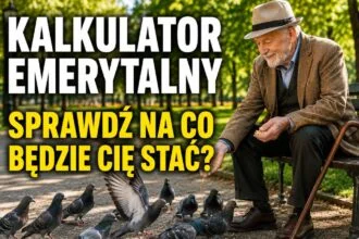 Ile wyniesie Twoja emerytura w Norwegii? Kalkulator - możesz sprawdzić swoją emeryturę online