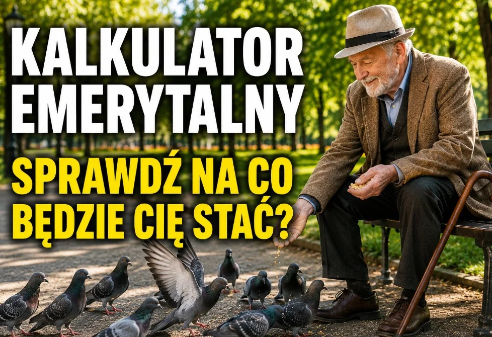 Ile wyniesie Twoja emerytura w Norwegii? Kalkulator - możesz sprawdzić swoją emeryturę online