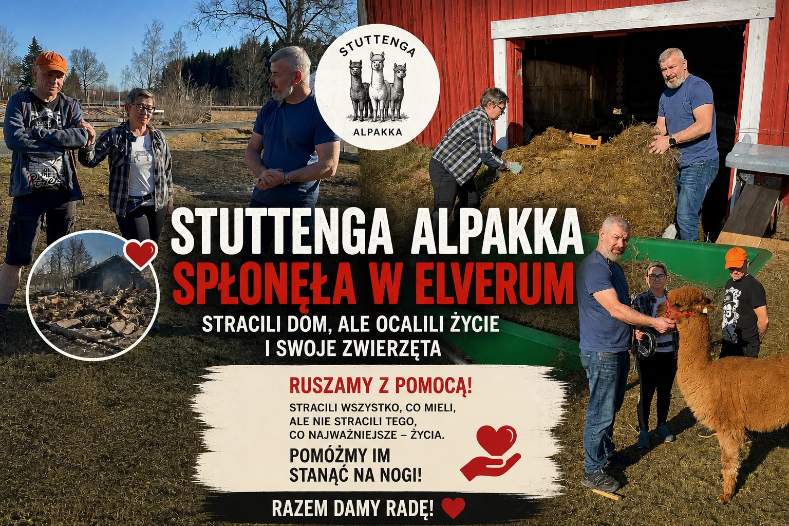 Stuttenga Alpakka spłonęła w Elverum. Rodzina straciła dom, psy uratowały im życie