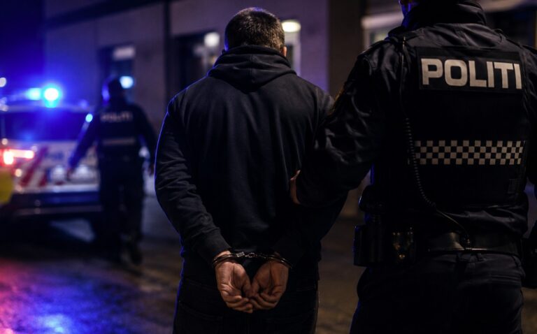 28 osób zatrzymanych: Wielka obława w siedmiu krajach - międzynarodowa akcja przeciw pedofilom